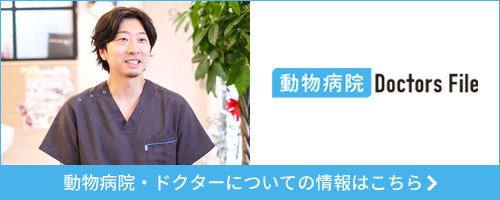 動物病院 Doctors File 動物病院・ドクターについての情報はこちら