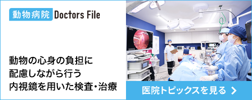 ご自宅でお手軽にペットホテル！ペットホテル・トリミングスタイルをご案内！